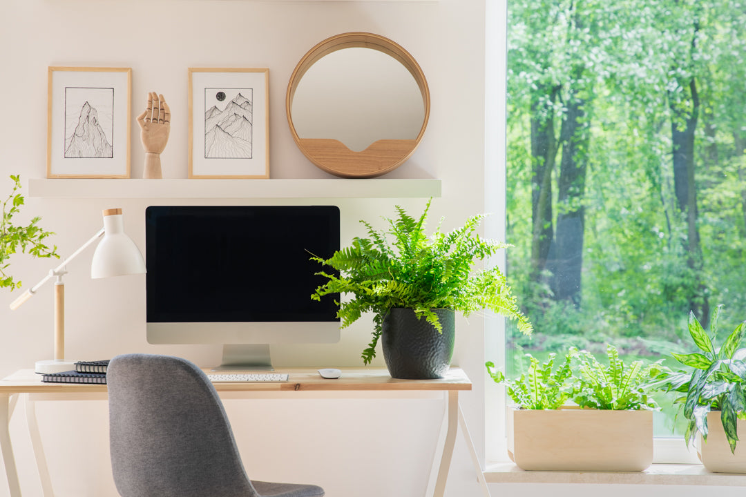 A Sensory Approach to Health and Wellness