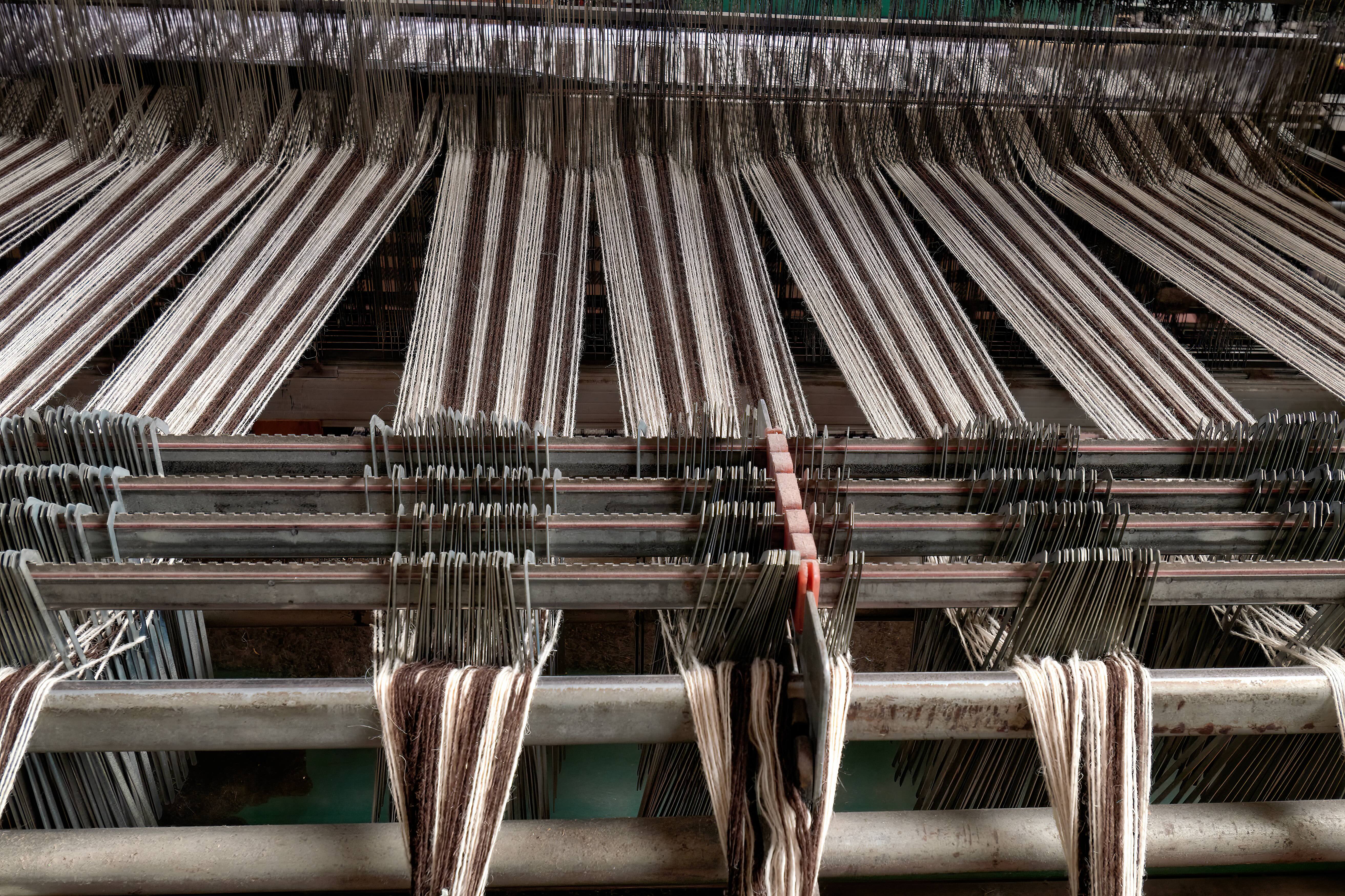 Merino Wool: Unraveling the Myths and Discovering Sustainable Luxury
