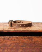 Driftwood Dog Collar - Canines - Wolfe Co. Apparel and Goods