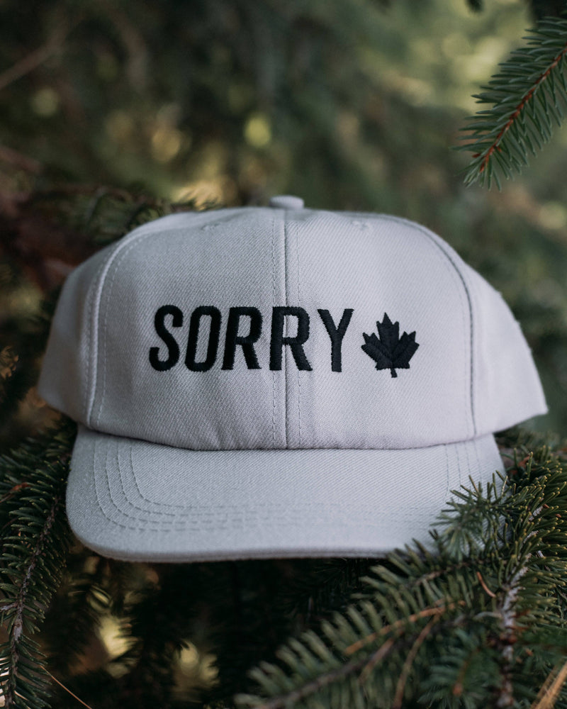 The Apologetic Hat Grey - Hats - Wolfe Co. Apparel and Goods